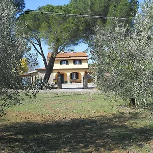 agriturismo-poggio-sassineri.it-tuscanyhotel.com/